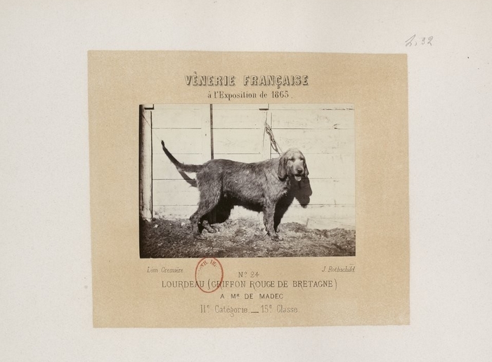 Photo illustrant l'ouvrage La Vénerie française à l'Exposition de 1865 par Le Couteulx de Canteleu © Gallica (13)